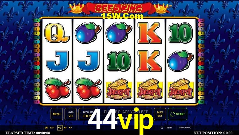 Experiência VIP 44vip